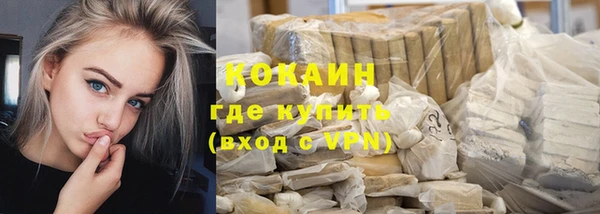 дмт Бородино