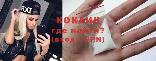 дмт Бородино