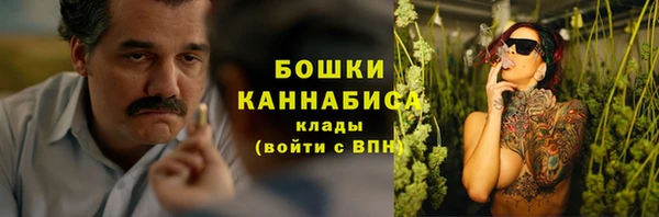 дмт Бородино
