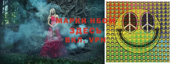 дмт Бородино