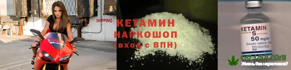 дмт Бородино