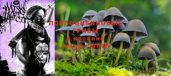 трава Верея