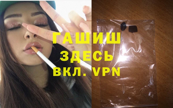 дмт Бородино