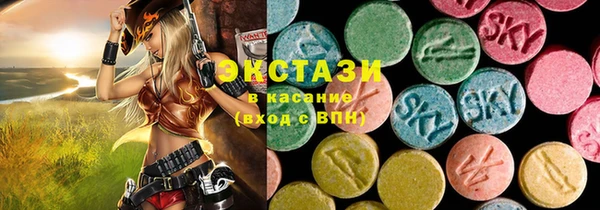 дмт Бородино