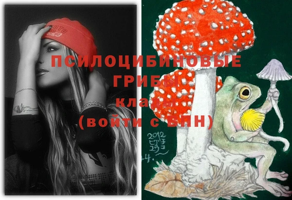 шишки Бугульма