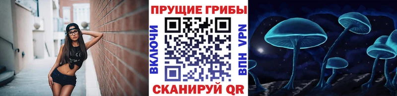 Галлюциногенные грибы мухоморы Киржач
